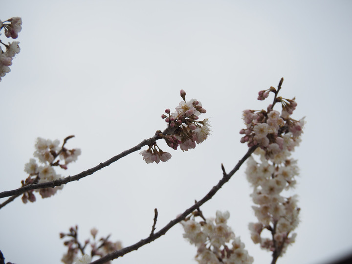 P3070273