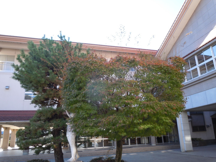 Dscn5766